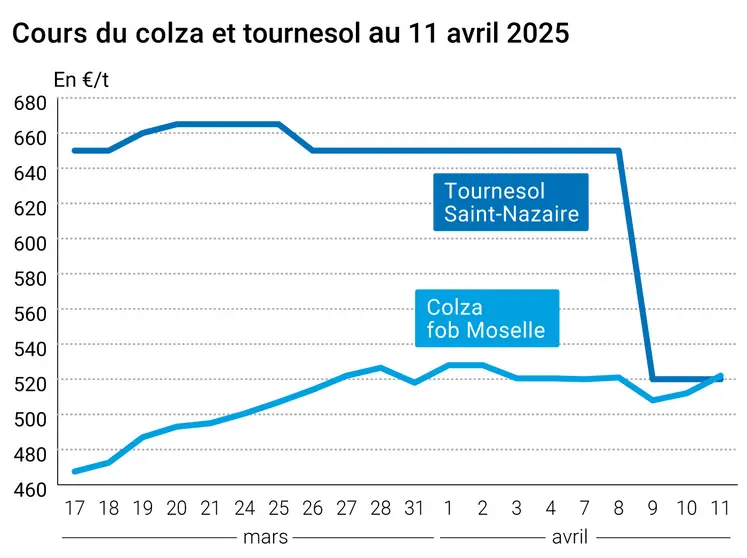 Prix du colza rendu Rouen et du tournesol rendu Saint Nazaire