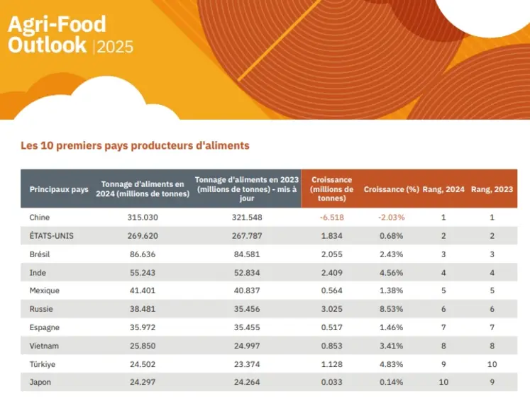 Tableau de la production des dix premiers pays producteurs d'aliments composés en 2024.