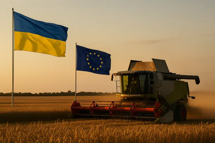 Une moissonneuse batteuse en action pour la moisson 2025 dans un champ de blé avec les drapeaux de l'Ukraine et de l'UE en arrière plan.