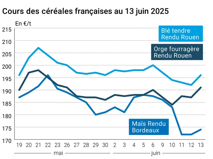 prix du blé tendre rendu Rouen, de l'orge fourragère rendu Rouen et du maïs rendu Bordeaux en juillet août 2024