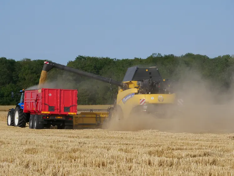 Récolte d'orge d'hiver, avec moissonneuse-batteuse et camion-benne.