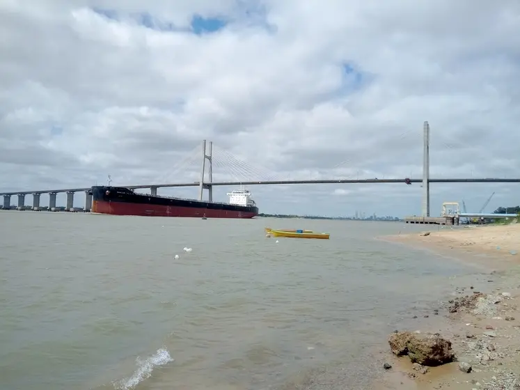 Vraquier sur le fleuve du Paraná à hauteur de la ville de Rosario.