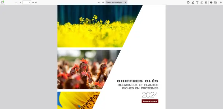 couverture rapport activité 2024 de Terres Inovia, édition 2025