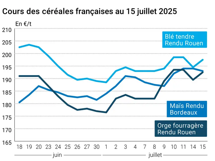 Graphique prix blé orge maïs France du 15 juillet 2025
