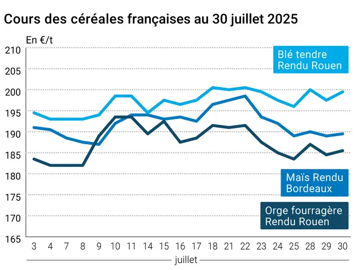 Graphique prix blé orge maïs France du 30 juillet 2025