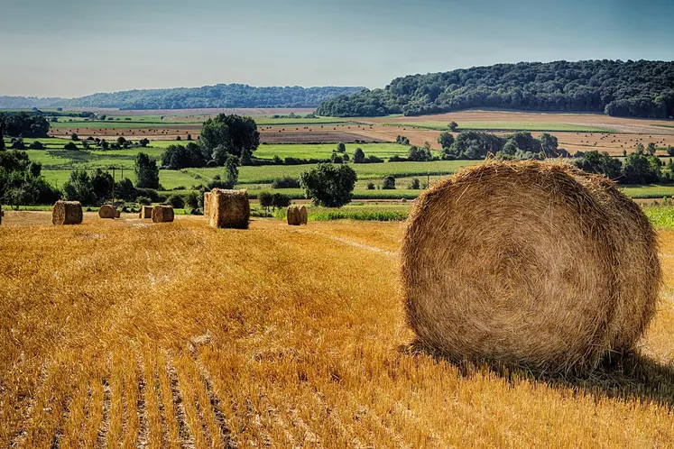 Meule de paille dans un champ moissonné à la campagne.