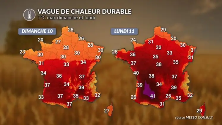 cartes de France des températures des dimanche 10 et lundi 11 août 2025, par Météo Consult