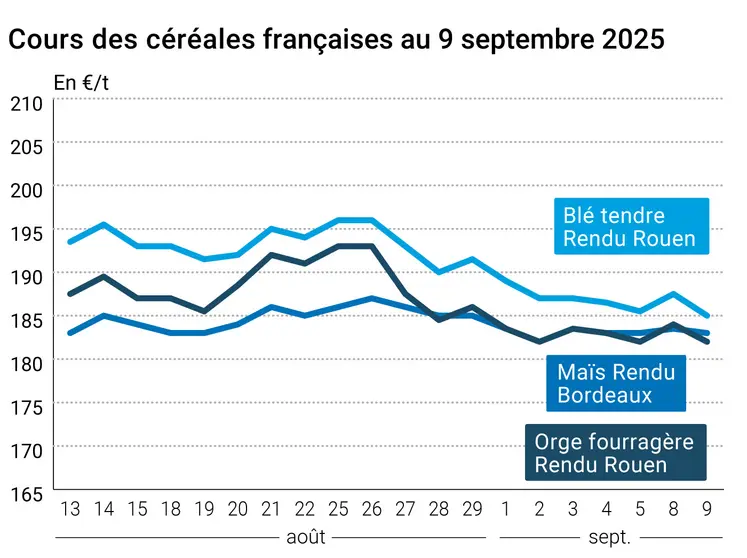prix du blé tendre rendu Rouen, de l'orge fourragère rendu Rouen et du maïs rendu Bordeaux en juillet août 2024