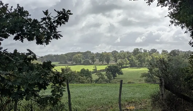 champ sous un ciel nuageux, Creuse, octobre 2025.
