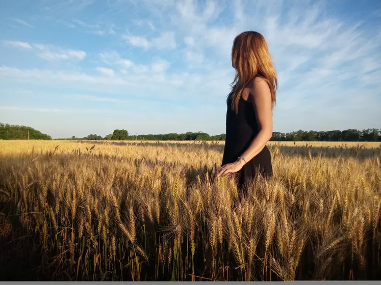 Champ de blé à Mercedes, province de Buenos Aires, Argentine.