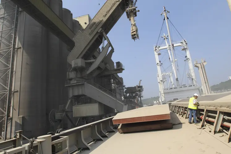 Chargement de blé sur un bateau dans le port de Rouen par Sénalia.