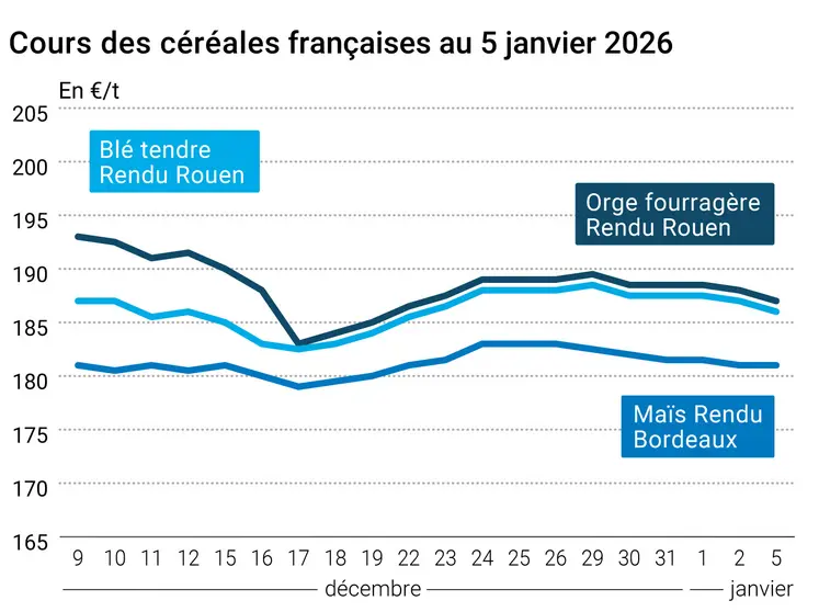 prix du blé tendre rendu Rouen, de l'orge fourragère rendu Rouen et du maïs rendu Bordeaux en juillet août 2024
