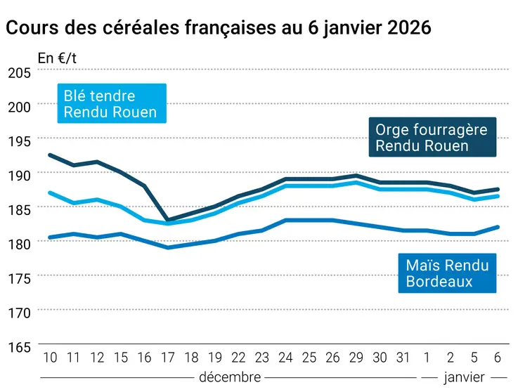prix du blé tendre rendu Rouen, de l'orge fourragère rendu Rouen et du maïs rendu Bordeaux en juillet août 2024