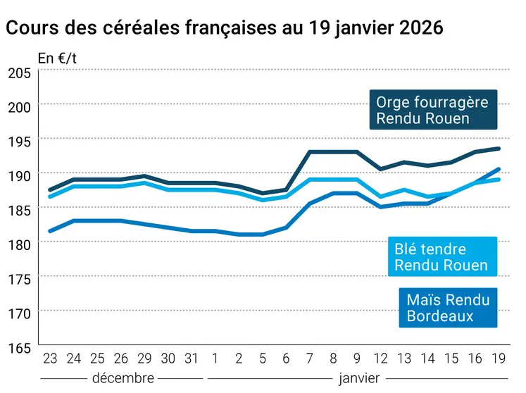 Graphique prix blé maïs orge France au 19 janvier 2026 
