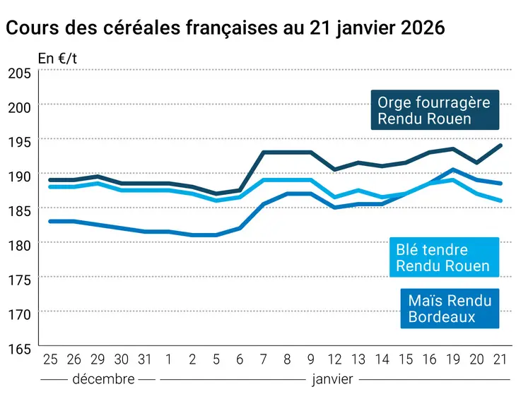 Graphique prix blé maïs orge France au 21 janvier 2026 