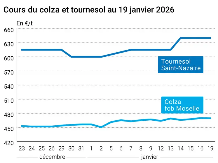 Graphique prix colza tournesol France au 19 janvier 2026  