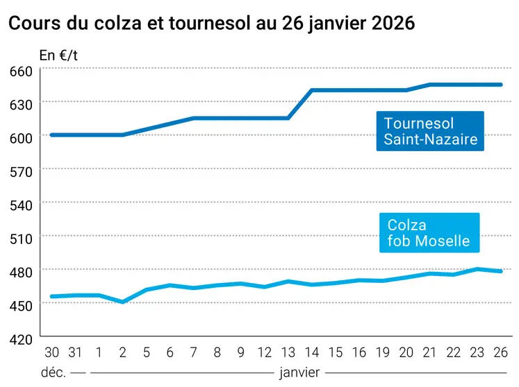 Graphique prix colza tournesol France au 26 janvier 2026