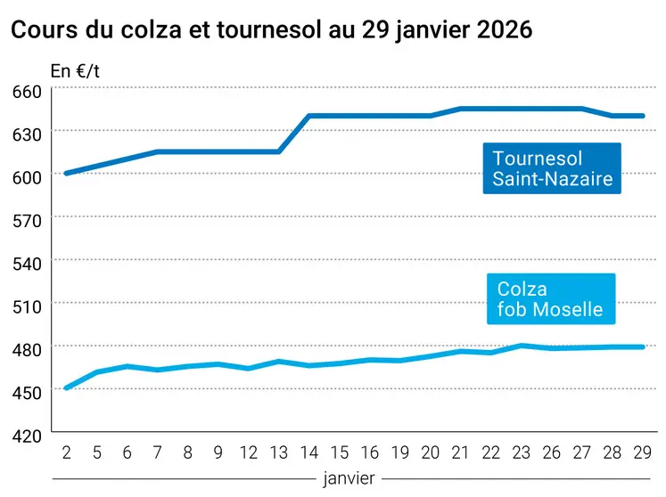 Graphique prix colza tournesol France au 29 janvier 2026  