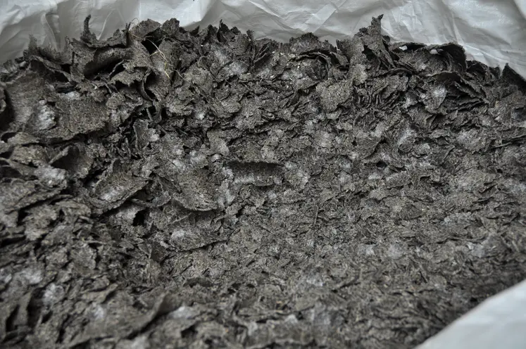 Tourteau de tournesol