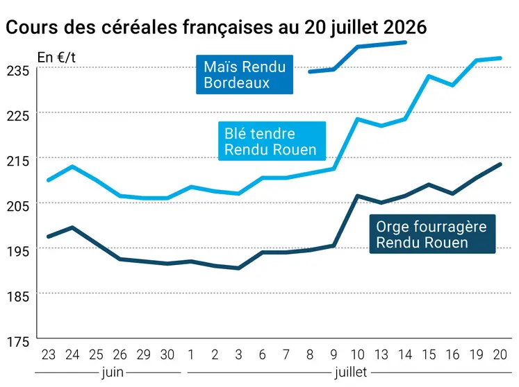 Graphique prix blé orge maïs France au 20 juillet 2026