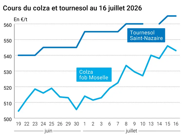 Graphique prix colza tournesol France au 16 juillet 2026