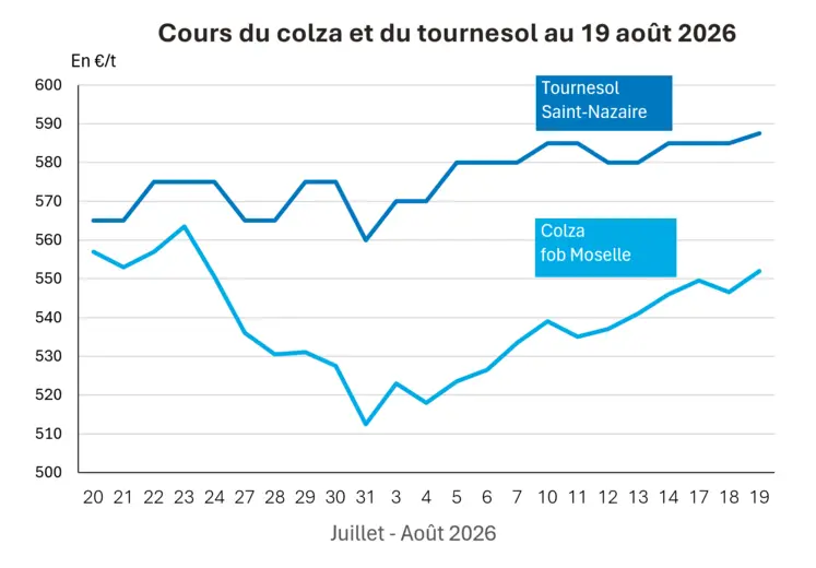 Graphique prix colza tournesol France au 19 août 2026 