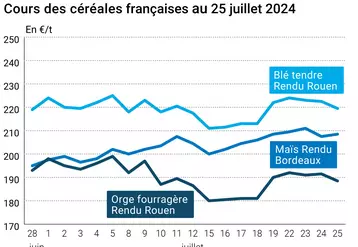 Graphe des prix du blé tendre, du maïs et de l'orge fourragère en France au 24 juillet