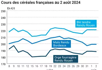 prix du blé tendre rendu Rouen, de l'orge fourragère rendu Rouen et du maïs rendu Bordeaux en juillet août 2024