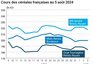 prix du blé tendre rendu Rouen, de l'orge fourragère rendu Rouen et du maïs rendu Bordeaux en juillet août 2024