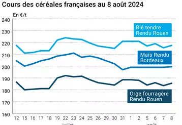 prix du blé tendre rendu Rouen, de l'orge fourragère rendu Rouen et du maïs rendu Bordeaux en juillet août 2024