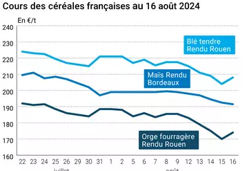 prix du blé rendu Rouen, du maïs rendu Bordeaux et de l'orge fourragère rendu Rouen