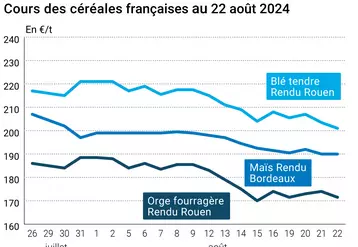 prix du blé rendu Rouen, du maïs rendu Bordeaux et de l'orge fourragère rendu Rouen