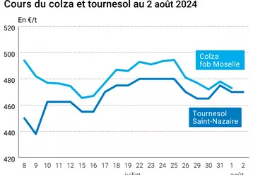 évolution des prix du colza fob Moselle et du tournesol rendu Saint Nazaire en juillet et août 2024