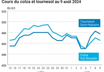 Prix du colza rendu Rouen et du tournesol rendu Saint Nazaire