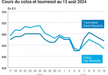 Prix du colza rendu Rouen et du tournesol rendu Saint Nazaire