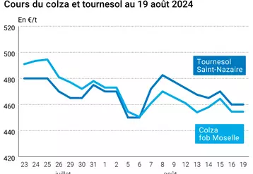 Prix du colza rendu Rouen et du tournesol rendu Saint Nazaire