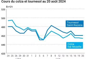 Prix du colza rendu Rouen et du tournesol rendu Saint Nazaire