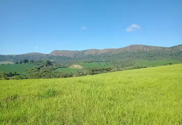 <em class="placeholder">champ de blé au Minas Gerais, au Brésil</em>