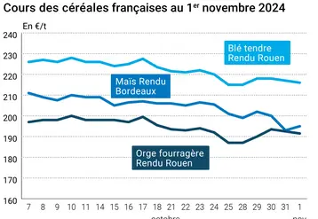 Graphique cours céréales françaises au 1er novembre 2024