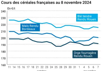 Graphique cours céréales françaises du 8 novembre 2024 