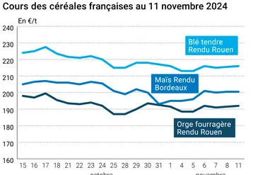 Graphique cours céréales françaises au 12 novembre 2024