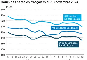 Graphique cours céréales françaises au 13 novembre 2024