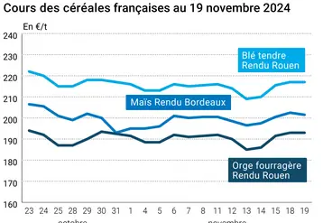 Graphique cours céréales françaises au 19 novembre 2024