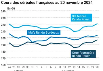 Graphique cours céréales françaises au 20 novembre 2024