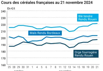 Graphique cours céréales françaises au 21 novembre 2024