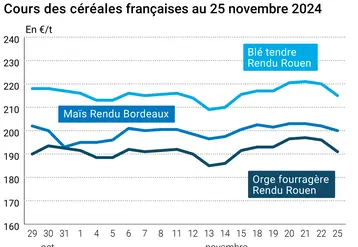 Graphique cours céréales françaises au 25 novembre 2024