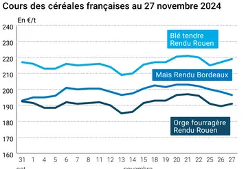 Graphique cours céréales françaises au 27 novembre 2024