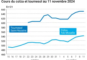 Graphique cours oléagineux français au 12 novembre 2024