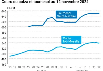 Graphique cours oléagineux français du 12 novembre 2024