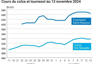 Graphique cours oléagineux françaises au 13 novembre 2024